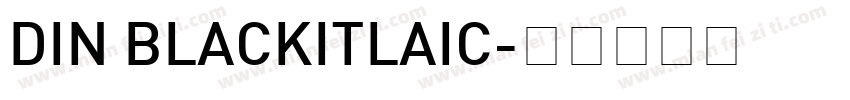 DIN BLACKITLAIC字体转换